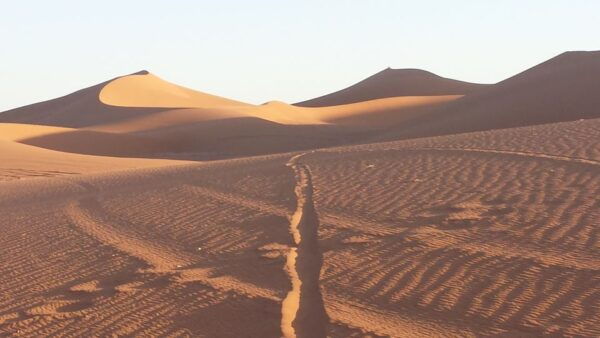7 Days Tour to the Sahara and Imperial Cities From Marrakech - Common Questions