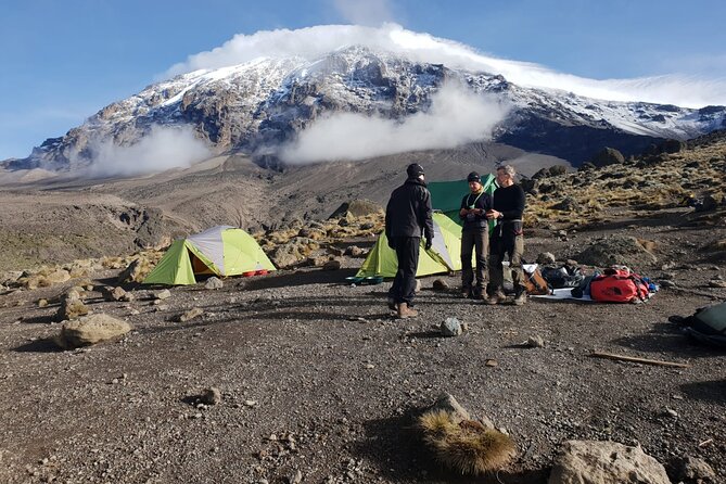 7 Days Trekking by Lemosho Route With Guide - Guides Role and Responsibilities