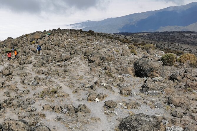 7 Days Trekking by Lemosho Route With Guide - Safety Measures and Emergency Protocols