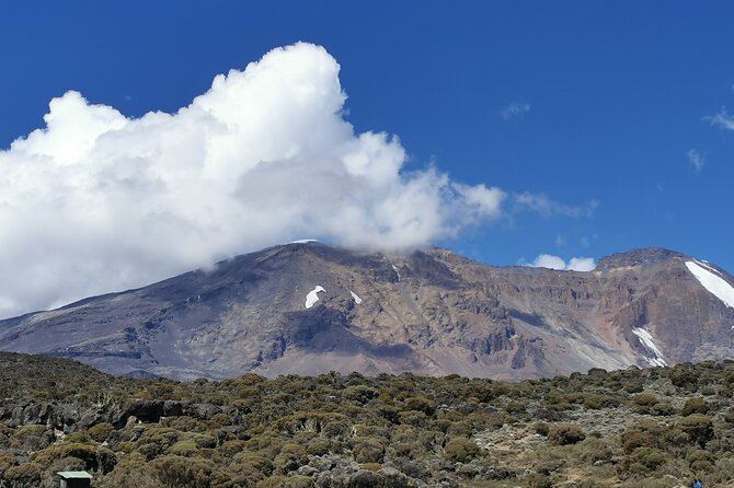 7 Days Trekking by Lemosho Route With Guide - Trip The Sum Up and Reflection