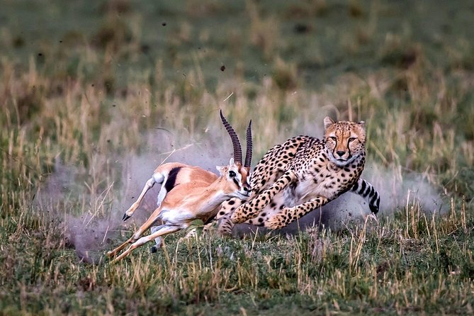 7 Days Tsavo West, Amboseli, Lake Nakuru & Masai Mara Wildlife Safari - Cancellation Policy and Booking Instructions