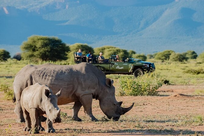 7 Days Uganda Gorilla and Wildlife Safari - Day 3: Transfer to Bwindi Impenetrable Forest