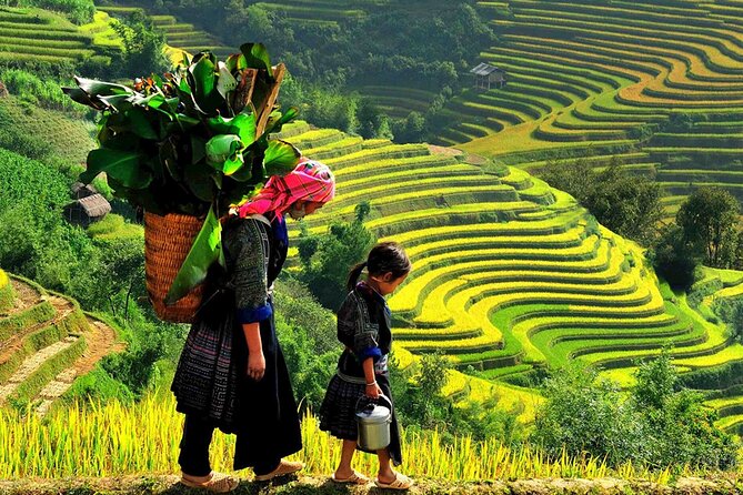 7 Days Vietnam Travel (Hanoi- Ninh Binh - Sapa - Ha Long) - Day 4: Discovering Ha Long Bay