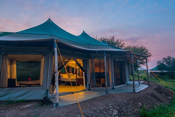 7 Days Wildlife Safari Through Tanzania Best Parks - Day 5: Serengeti National Park - Northern