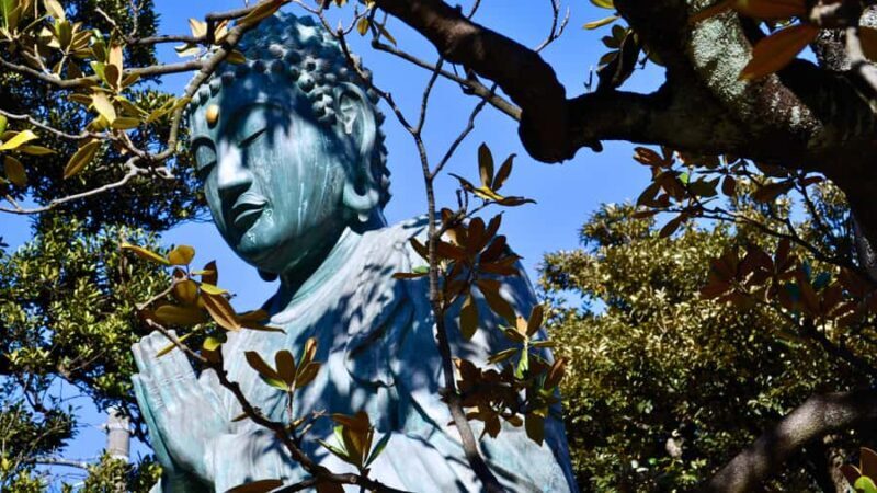 7 Gods of Fortune in Historic Tokyo: Temples of Yanaka - What You’ll Get from This Tour