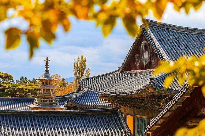 7 Highlights Gyeongju City One Day Small Group Tour from Busan - Good To Know