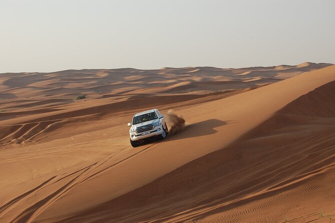 7 Hour Dubai Desert Safari Experience - Meeting and Pickup Information