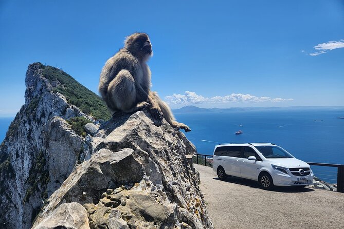 7 Hour Guided Shore Excursion in Gibraltar With 12 Stops - Whats Included