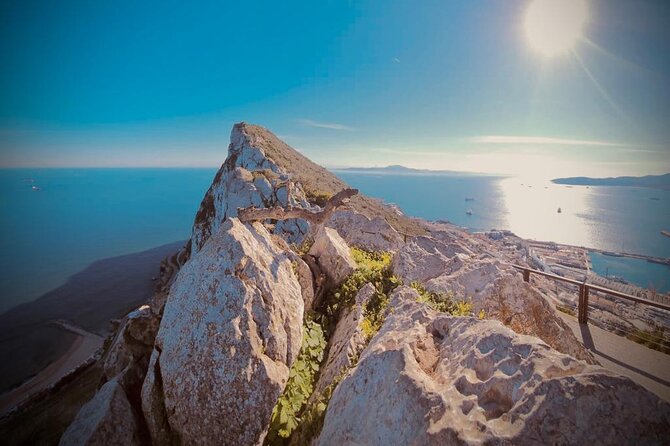 7 Hour Guided Shore Excursion in Gibraltar With 12 Stops - Booking Process