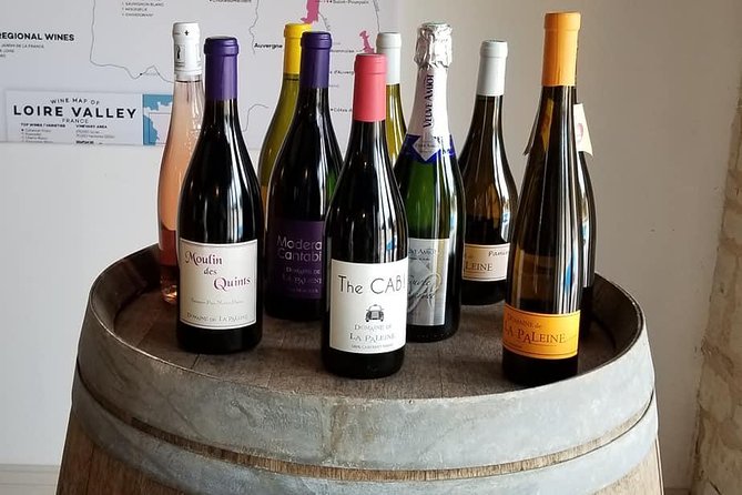 7-Hour Guided Wine Tour in Loire Valley - Directions