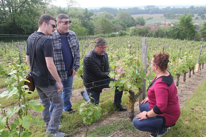 7-Hour Guided Wine Tour in Loire Valley - Background