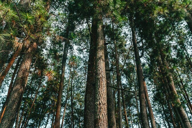 7 Hour Private Bandung City Tour - Good To Know