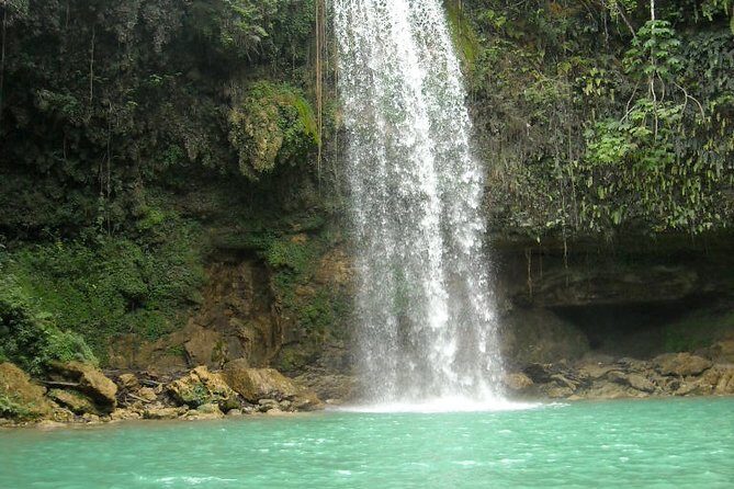 7 Hour- Private Nature Tour of the Monte Plata Rainforest - Good To Know