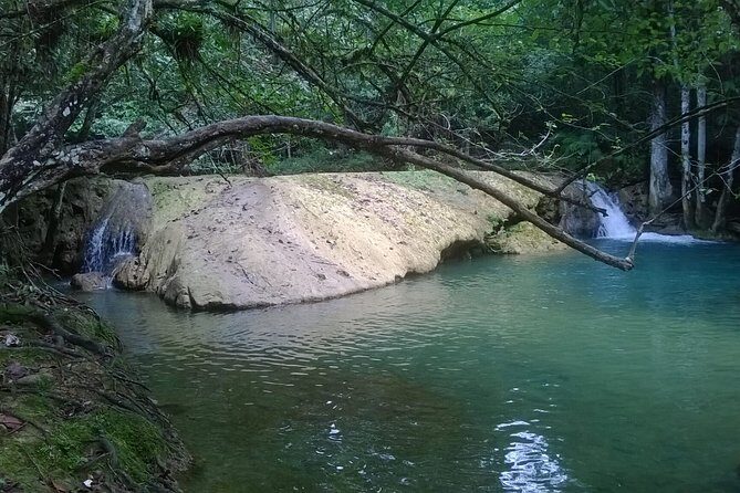 7 Hour- Private Nature Tour of the Monte Plata Rainforest - Exploring the Monte Plata Rainforest: What to Expect