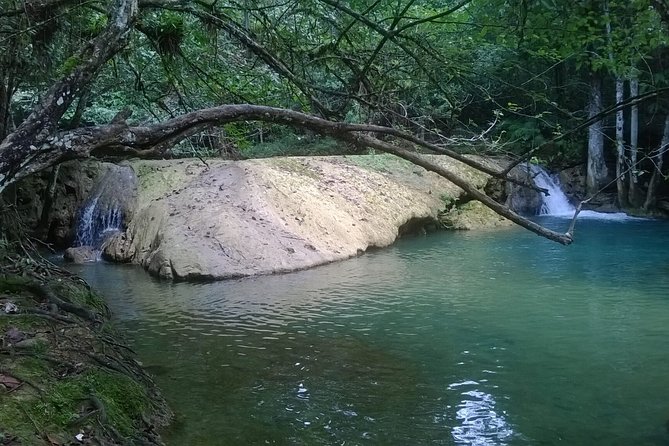 7 Hour- Private Nature Tour of the Monte Plata Rainforest - Tour Highlights