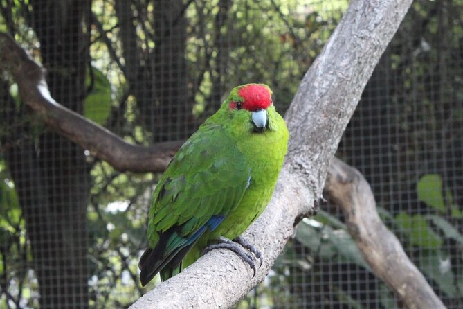 7-Hour Private Scenic Kapiti Coast Tour From Wellington - Traveler Reviews
