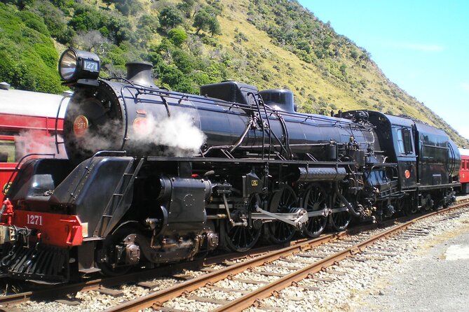 7-Hour Private Scenic Kapiti Coast Tour From Wellington - Contact Information