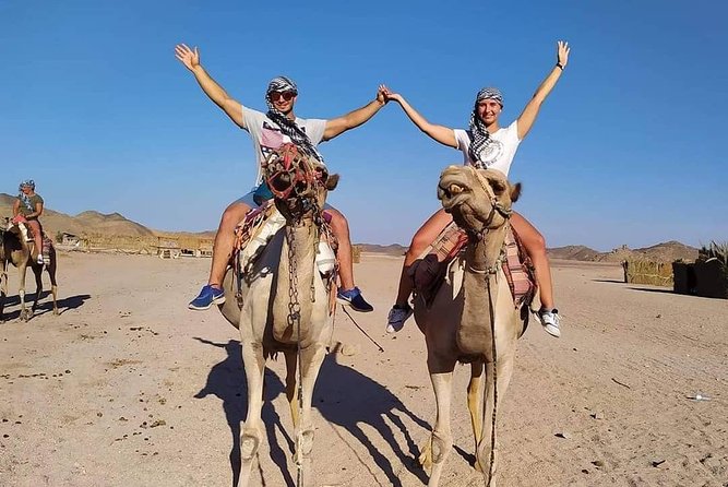 7 Hour Quad Bike Safari, Camel Ride, BBQ Dinner & Show - Good To Know