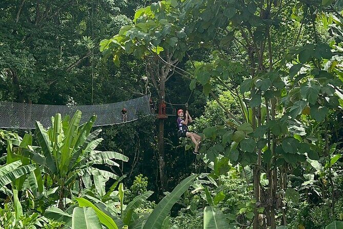 7 Hour Sticky Waterfall and Zipline Adventure - Why This Tour Offers Great Value