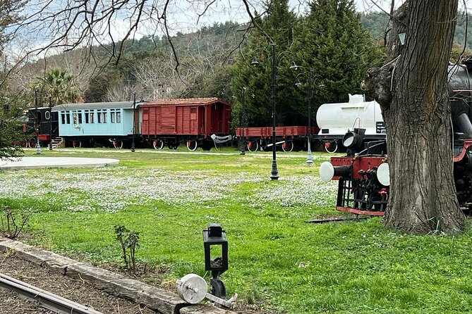 7 Hours Magnesia, Train Museum and Turkish Bath Private Tour - Additional Information and Accessibility
