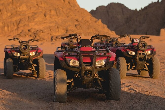 7 Hours Mega Safari Quad Bike Desert, Camel Ride, Buggy Car and Dinner -Hurghada - Traveler Photos and Reviews