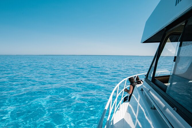 7 Hours Off Peak Whale Shark and Ningaloo Reef Tour in Exmouth - Tour Details
