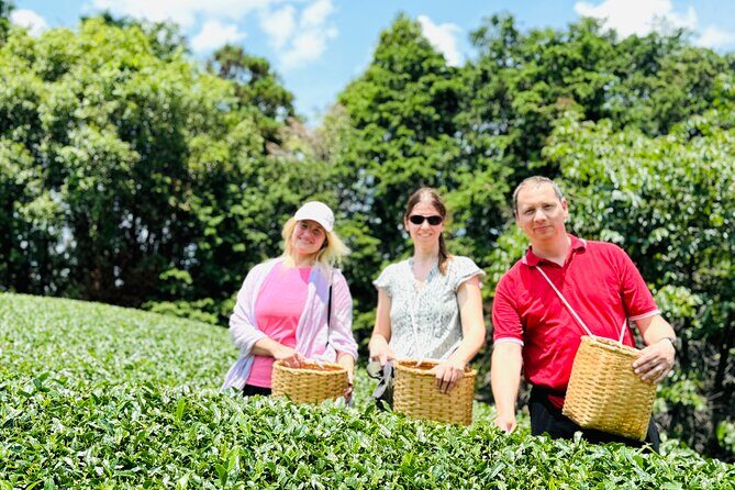 7 Hours Private Guided Tour Uji and Wazuka Matcha Farm - Exploring the Itinerary: What to Expect from Start to Finish