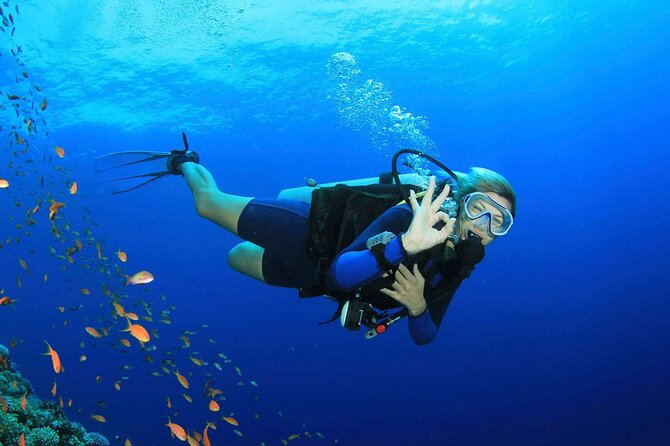 7 Hours Scuba Diving in Antalya - Tour Duration and Location