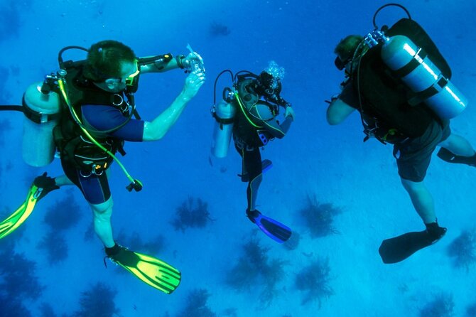 7 Hours Scuba Diving in Antalya - Requirements and Restrictions