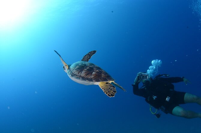 7 Hours Scuba Diving in Antalya - Frequently Asked Questions