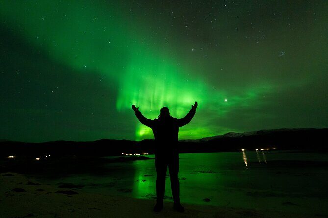 7 hours Tromsø Aurora Tour: Photos, snacks & warm drinks included - Good To Know