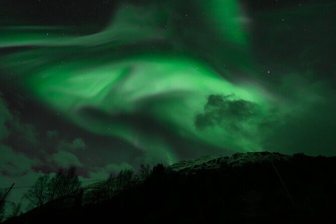 7 hours Tromsø Aurora Tour: Photos, snacks & warm drinks included - The Itinerary: What to Expect