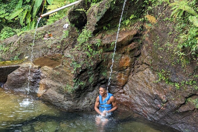 7 Hours Wildlife Discovery Tour in Dominica - Copyright and Ownership