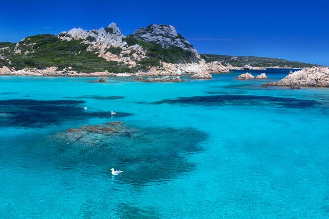 7 Islands 7 Stops Tour of Archipelago La Maddalena - Booking Details