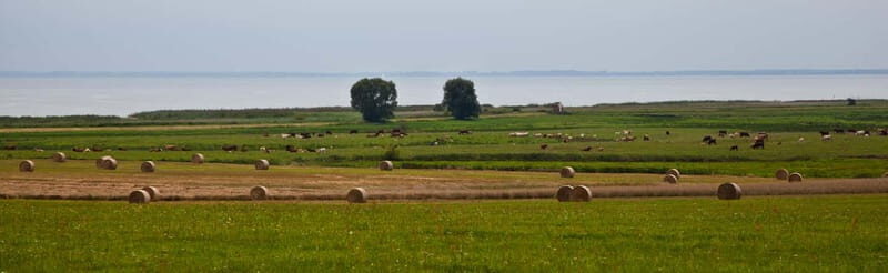 7-lake tour: nature & enjoyment on Usedom - Good To Know