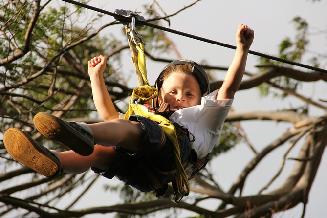 7-Line Maui Zipline Tour on the North Shore - Tips for a Memorable Zipline Experience
