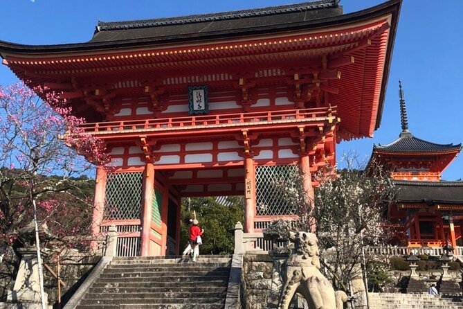 7 Must-See Spots Afternoon Private Tour ; Including 1000-Torii-Gate Shrine - Fushimi Inari-taisha Shrine