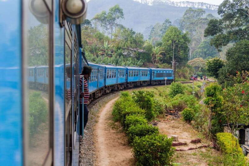 7 night 8 days Tour in Srilanka - Who Should Consider This Tour?