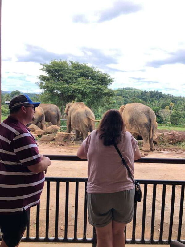 7 night 8 days Tour in Srilanka - Who Would Love This Tour?