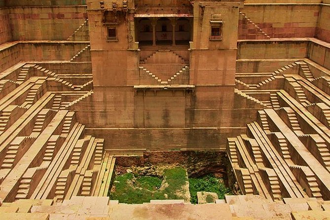 7 Nights 8 Days Tour of Forts, Palaces and Stepped Wells - Cultural Experiences and Activities