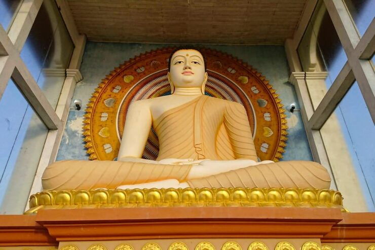 7 Nights in Paradise: Experience Sri Lanka - Itinerary Highlights