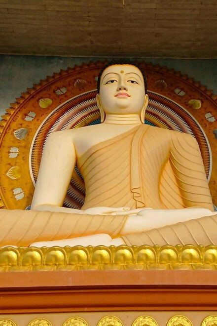 7 Nights in Paradise: Experience Sri Lanka - Cultural Experiences