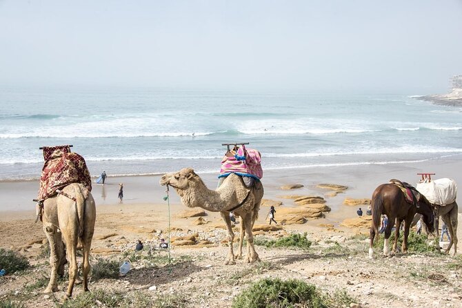 7 Nights Surf and Yoga Package in Morocco - Yoga Sessions