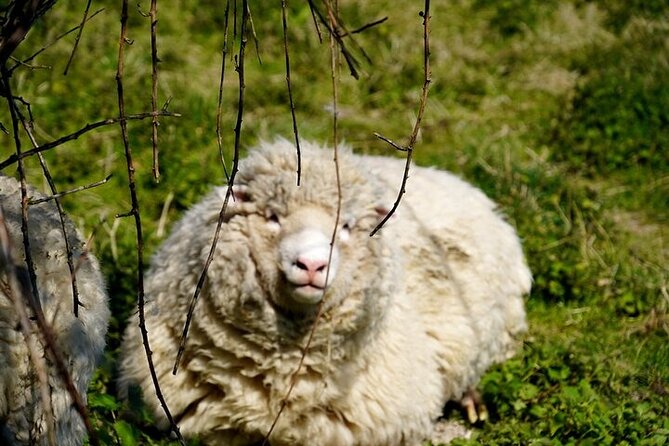7 Secrets of Witchcraft in Britain: Ancient Caves and Stonehenge - Witchcraft Folklore: Legends and Myths Explored