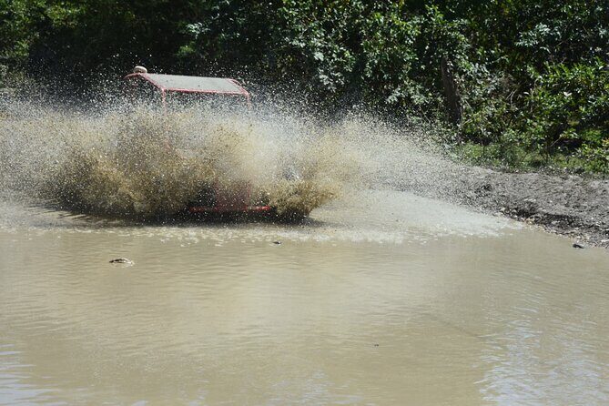 7 Waterfalls Damajagua and Dune Buggy - Value for Money