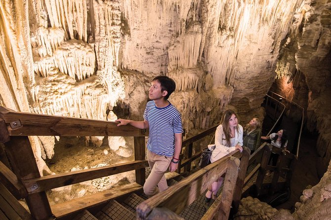 75-Minute Guided Ruakuri Cave Tour Waitomo - Inclusions