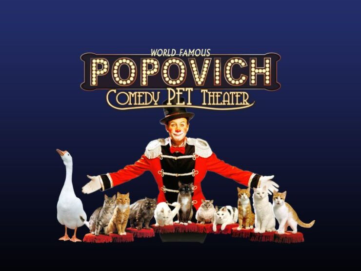 75-Minute Popovich Comedy Pet Theater in Las Vegas - Show Experience