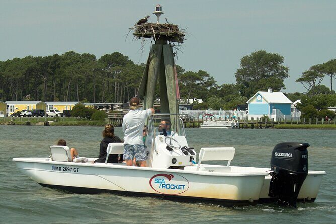 75 Minute Private Party Back Bay Sunset Cruise in Ocean City, MD - Good To Know