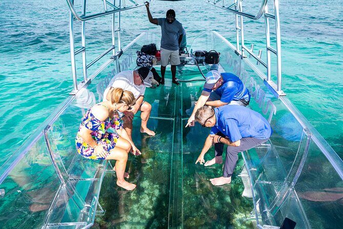 75 Minutes Clear Boat Tour in Caicos Island - 75 Minutes Clear Boat Tour in Caicos Island – An Authentic Marine Adventure