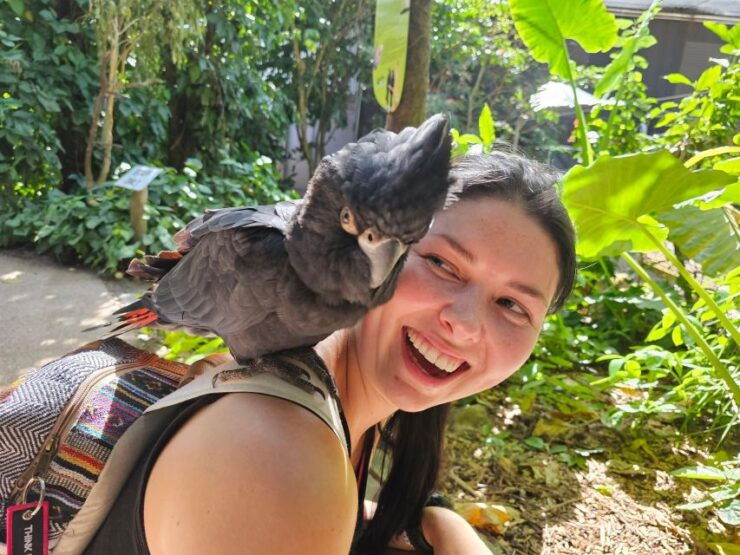 7B - Wildlife Tour & Mossman Gorge - Activity Details